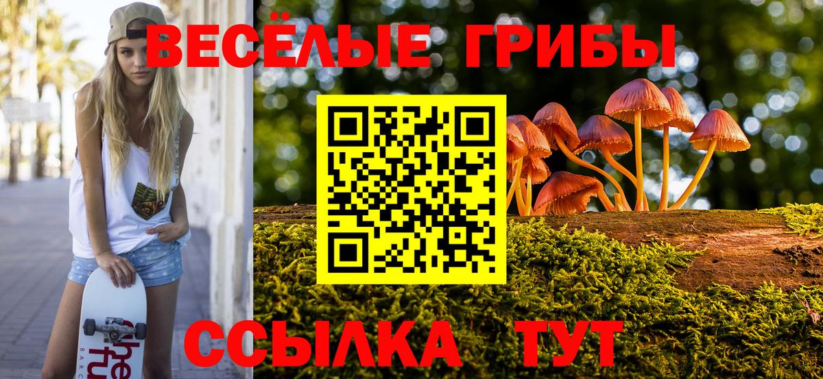 Сегежа  Галлюциногенные грибы мицелий  Вход с VPN  Галлюциногенные грибы Cubensis 